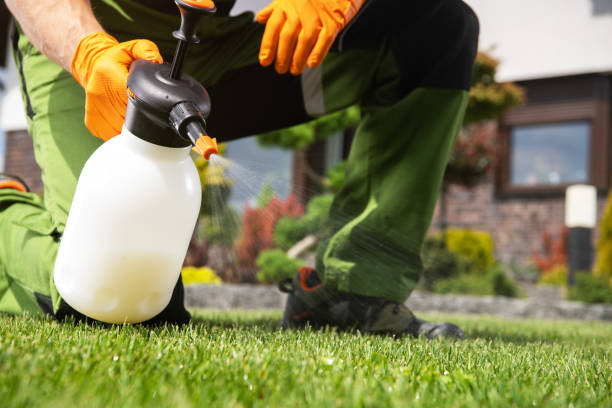 Best Mosquito Control Services  in Westlake, OH