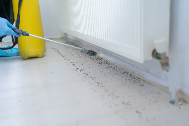 Trusted Westlake, OH Pest Control Experts