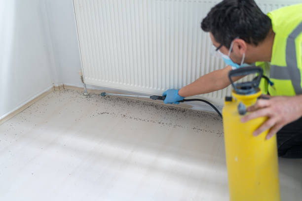 Best Local Pest Control Services  in Westlake, OH